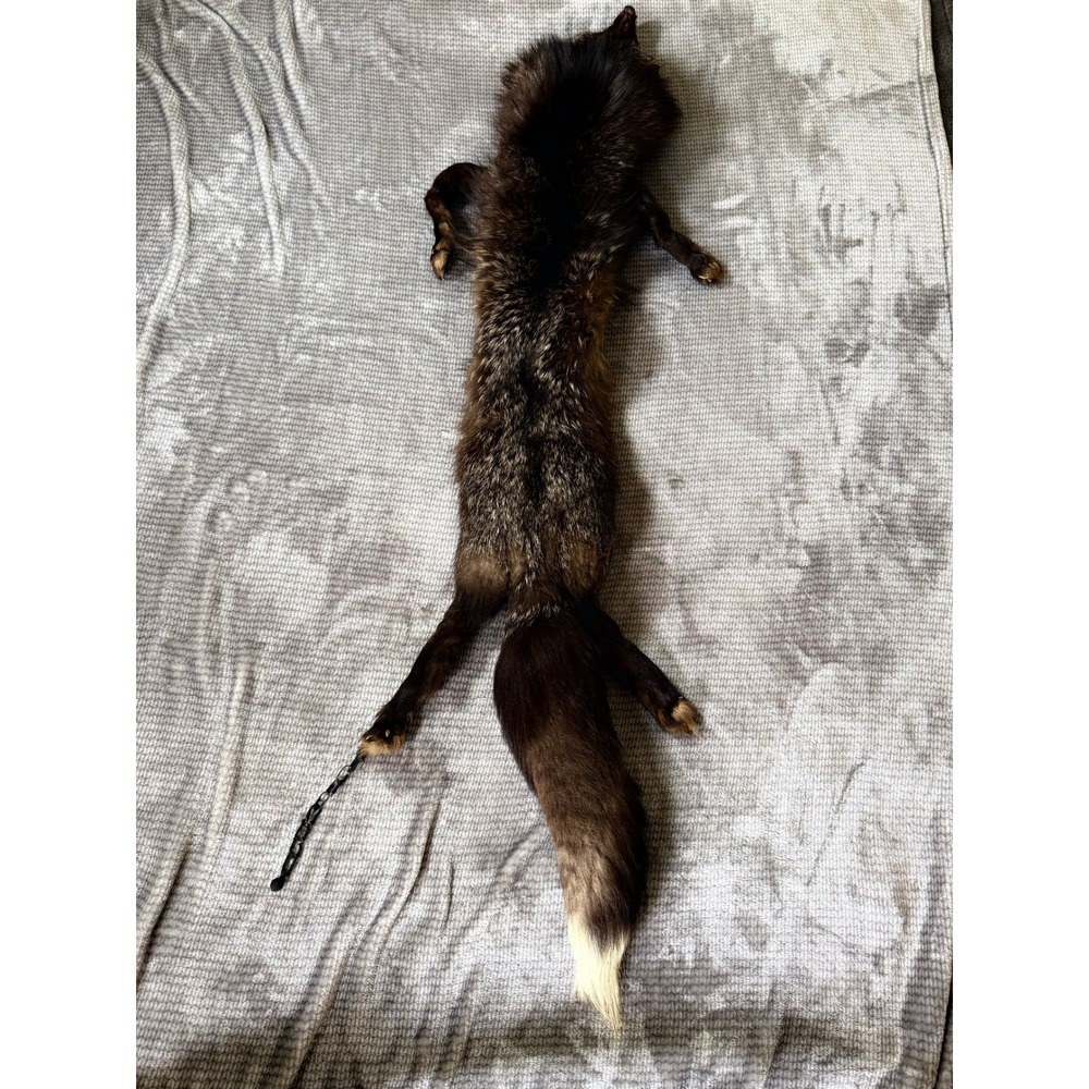 Vintage Full Body Fox Fur Stole Wrap Taxidermy Dark Brown Silver White Tip Tail